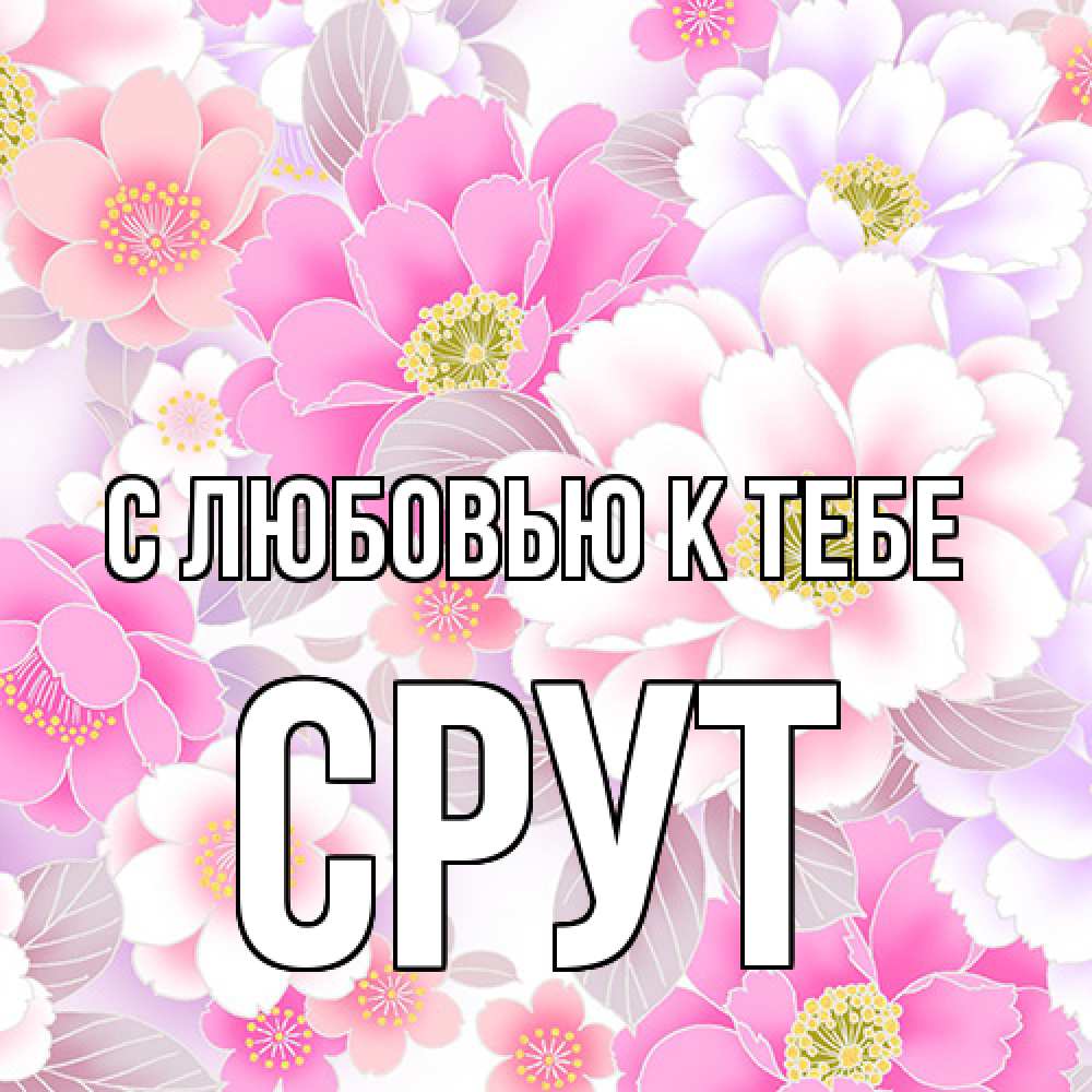 Открытка  с именем. срут, С любовью к тебе  