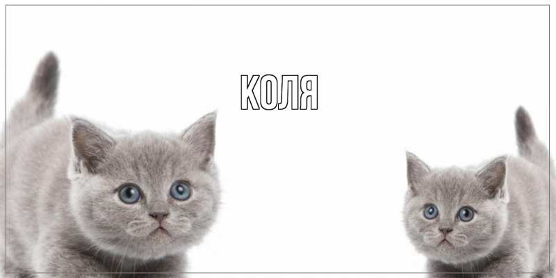 Картинка  с именем , коля