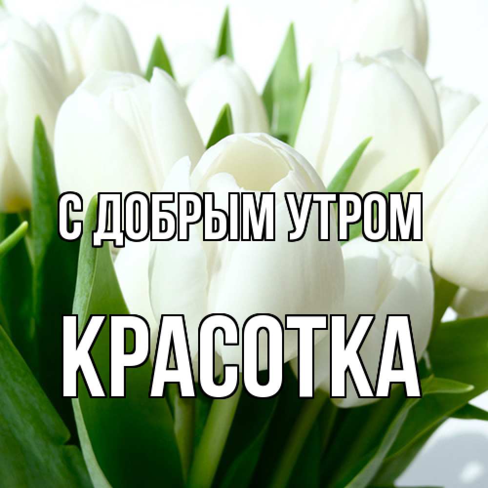 Открытка  с именем. Красотка, С добрым утром  