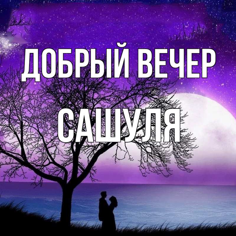 Картинка Добрый вечер, Сашуля