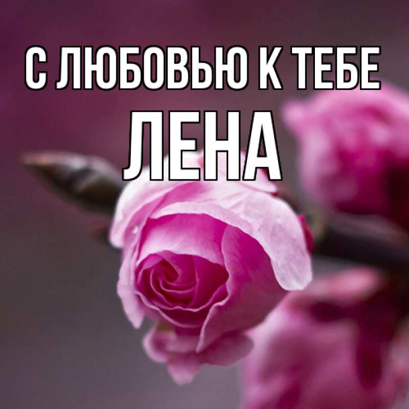 Картинка С любовью к тебе, лена
