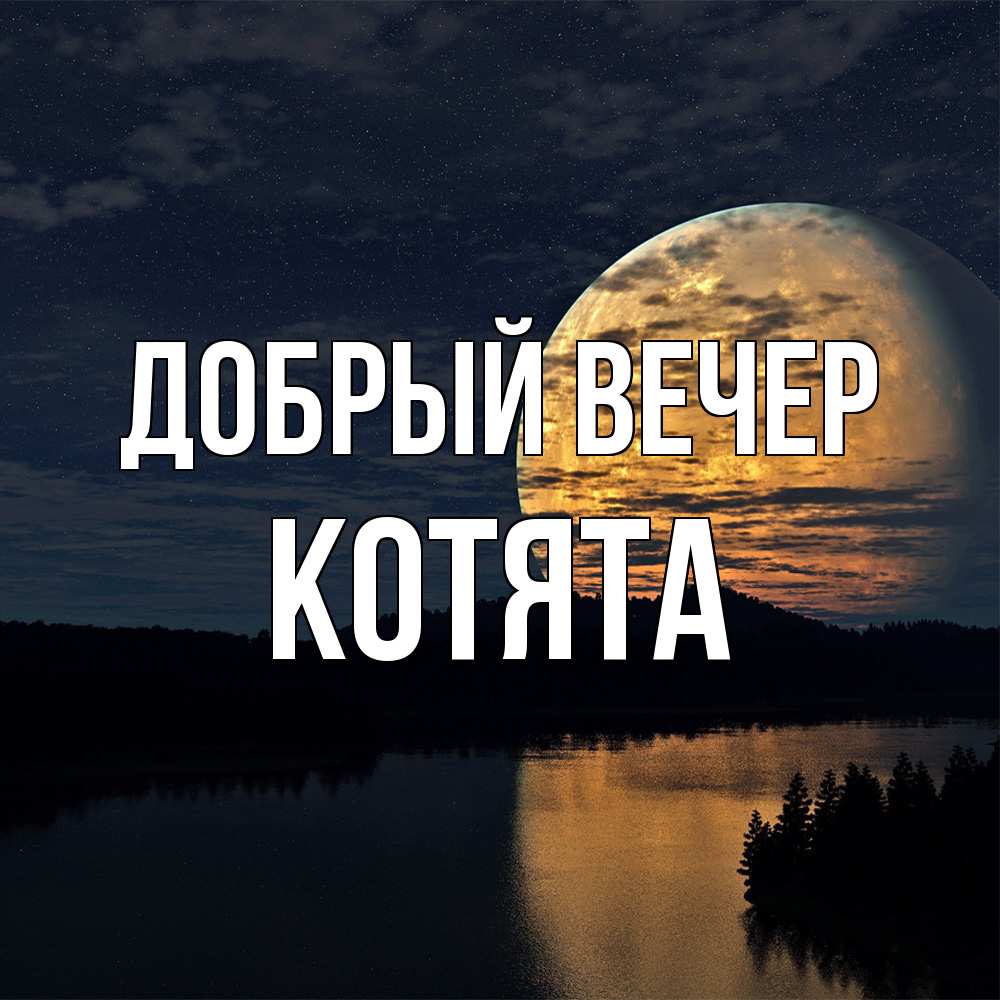 Открытка  с именем. Котята, Добрый вечер  
