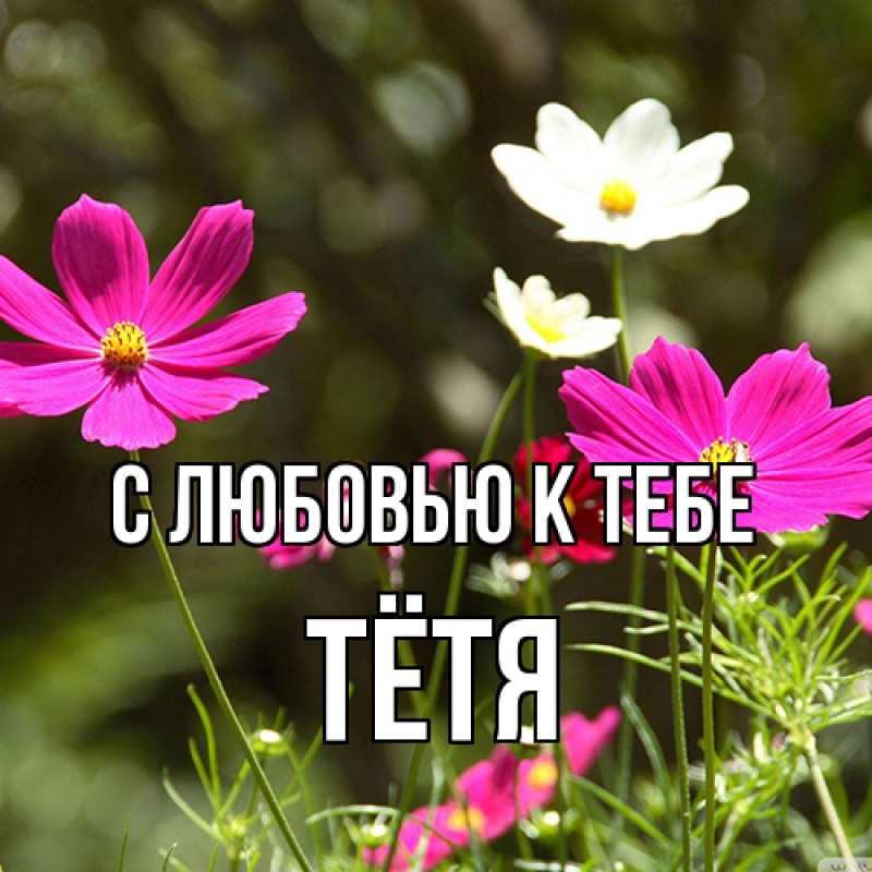 Картинка С любовью к тебе, Тётя