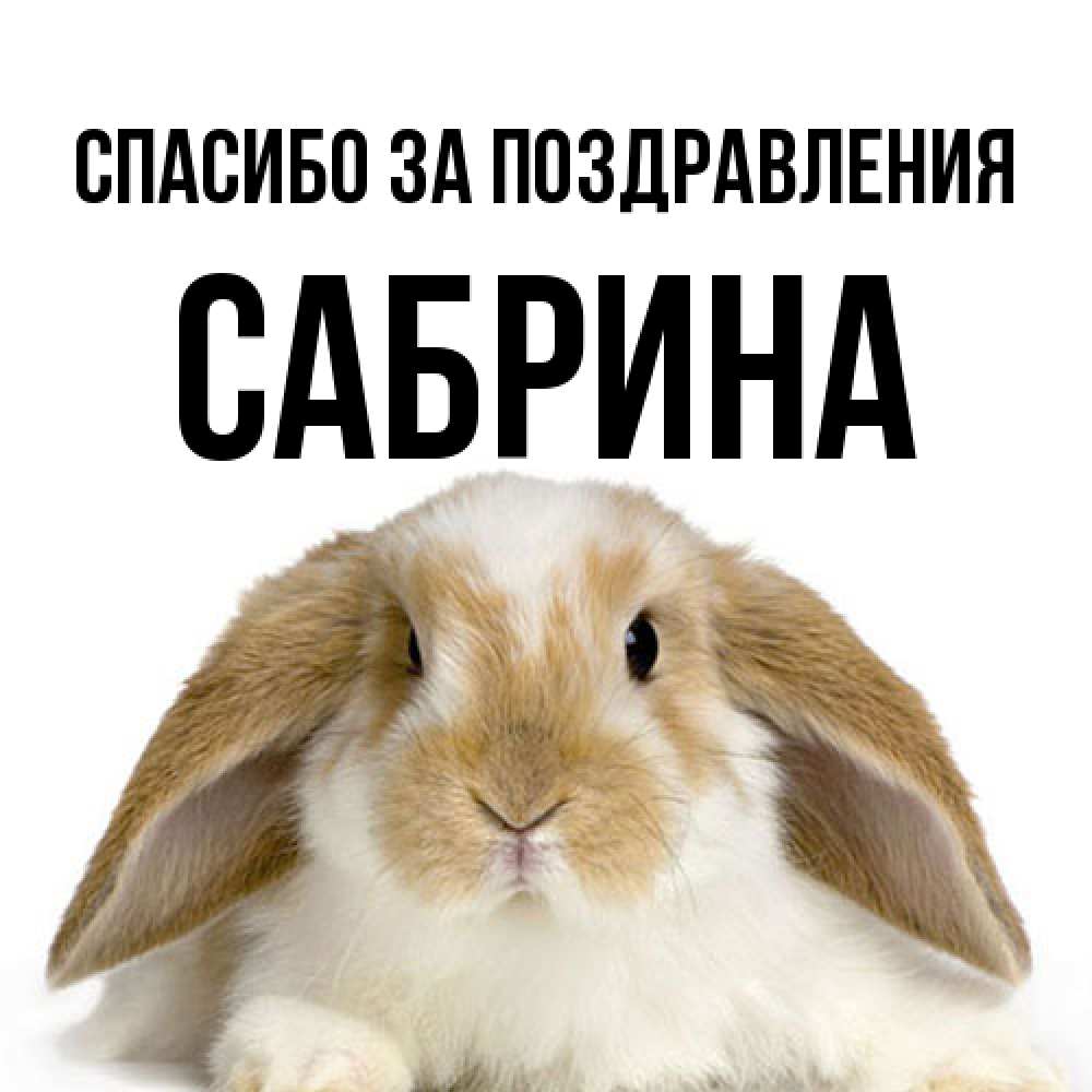 Открытка  с именем. Сабрина, Спасибо за поздравления  