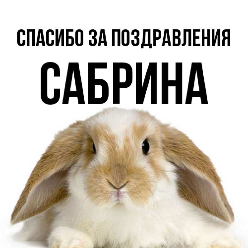 Картинка Спасибо за поздравления, Сабрина