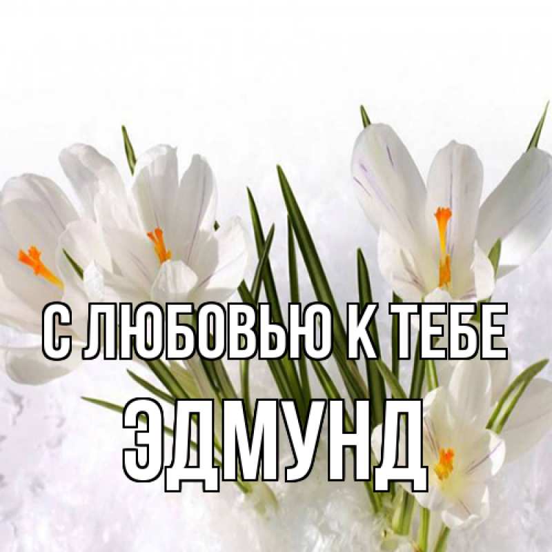 Картинка С любовью к тебе, Эдмунд