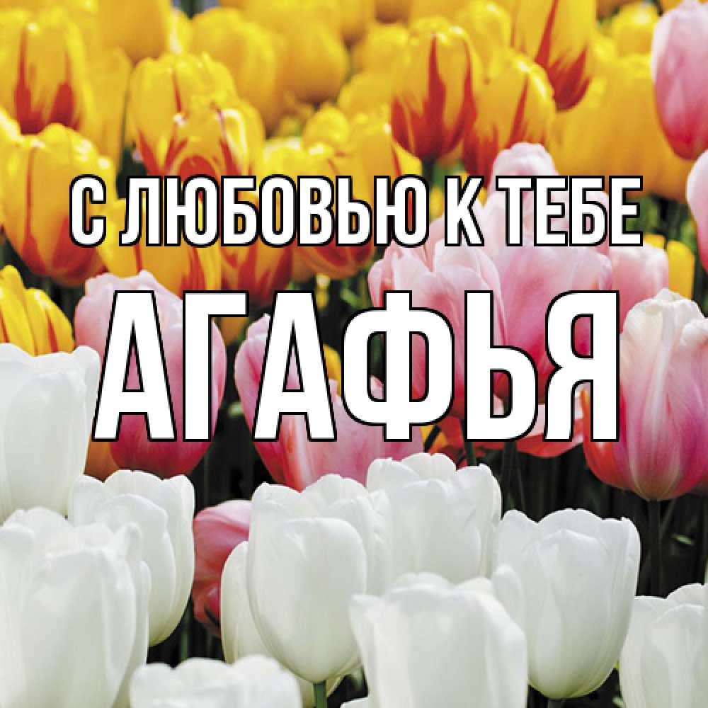 Открытка  с именем. Агафья, С любовью к тебе  