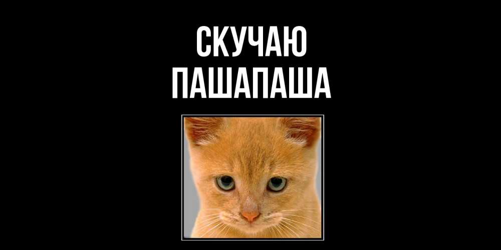 Открытка  с именем. Пашапаша, Скучаю  