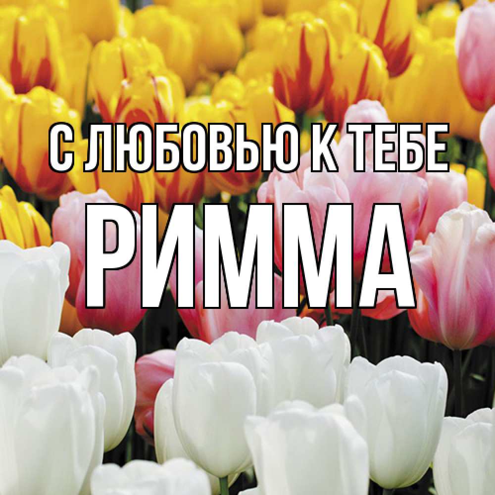 Открытка  с именем. Римма, С любовью к тебе  