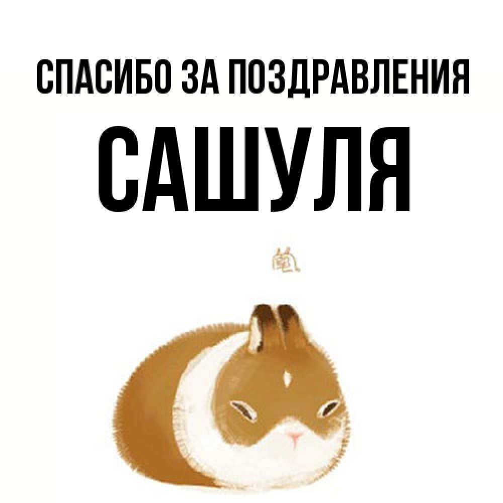 Открытка  с именем. Сашуля, Спасибо за поздравления  