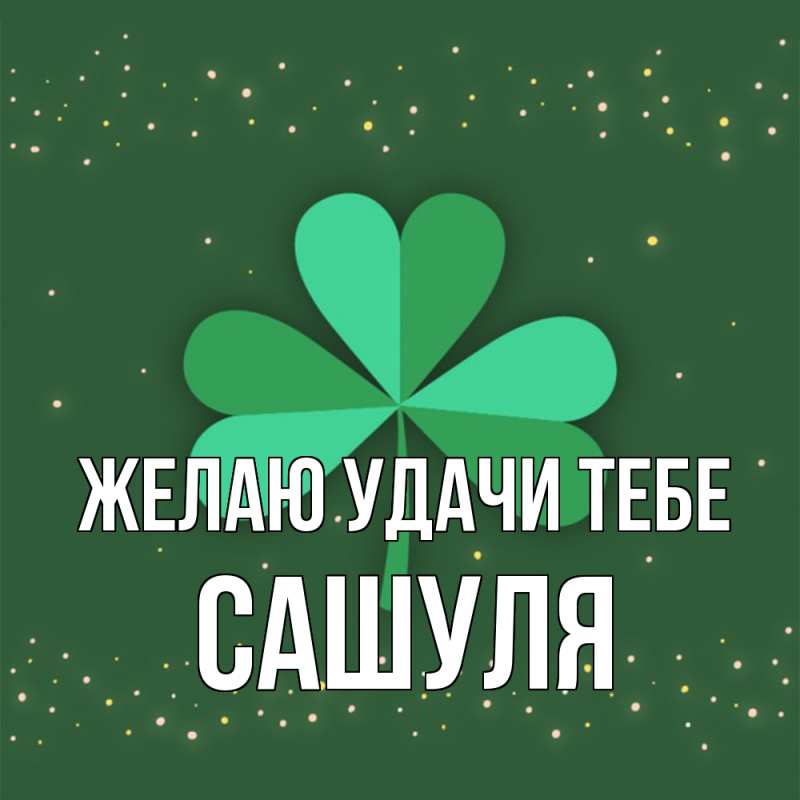 Картинка Желаю удачи тебе, Сашуля