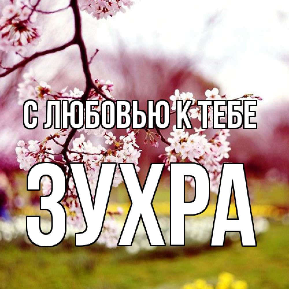 Открытка  с именем. Зухра, С любовью к тебе  