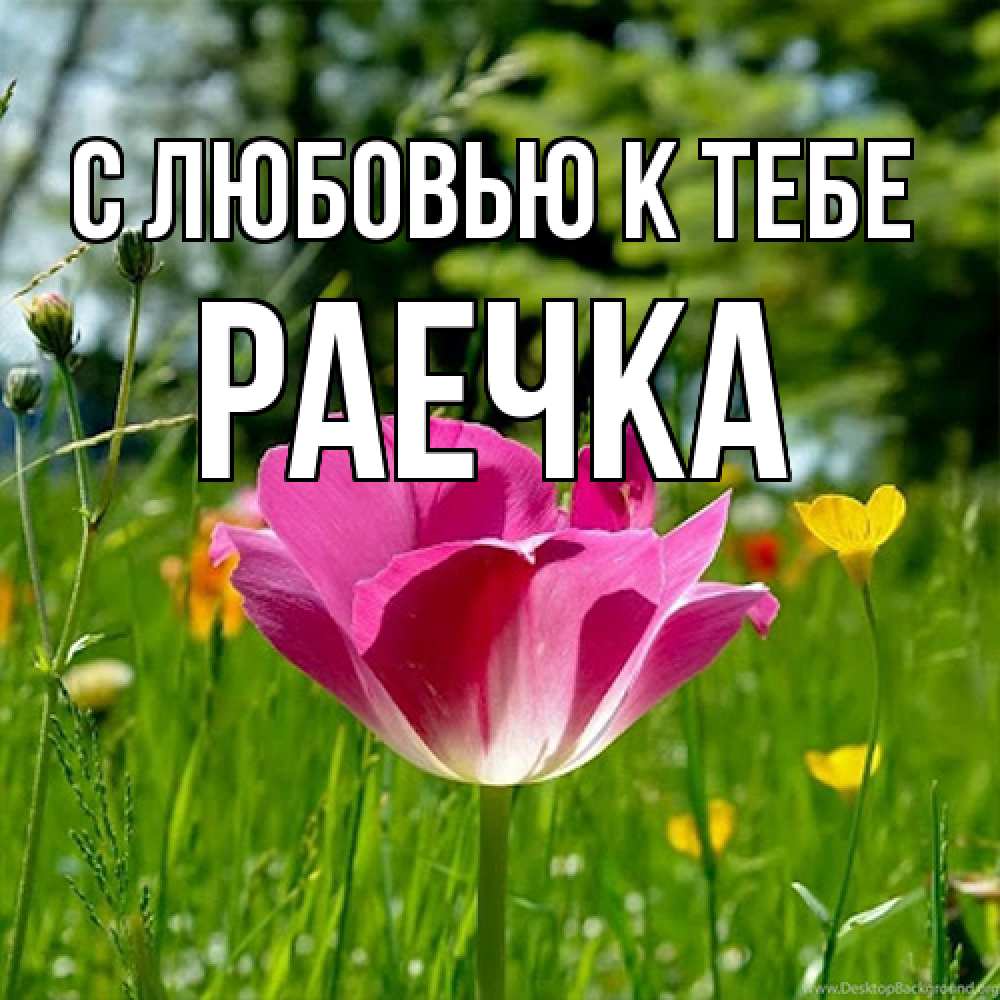 Открытка  с именем. Раечка, С любовью к тебе  