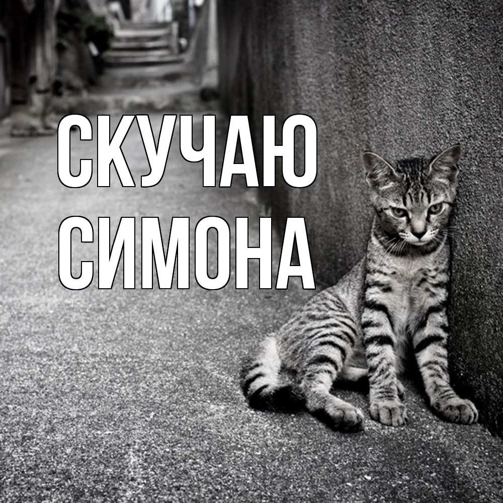Открытка  с именем. Симона, Скучаю  
