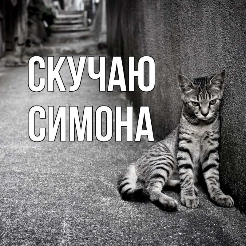 Картинка Скучаю, Симона