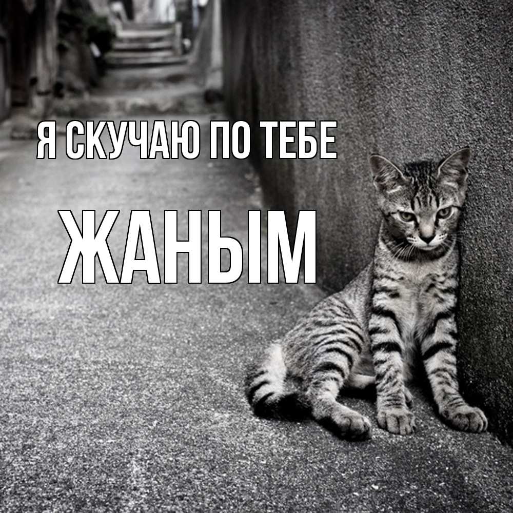 Открытка  с именем. Жаным, Я скучаю по тебе  