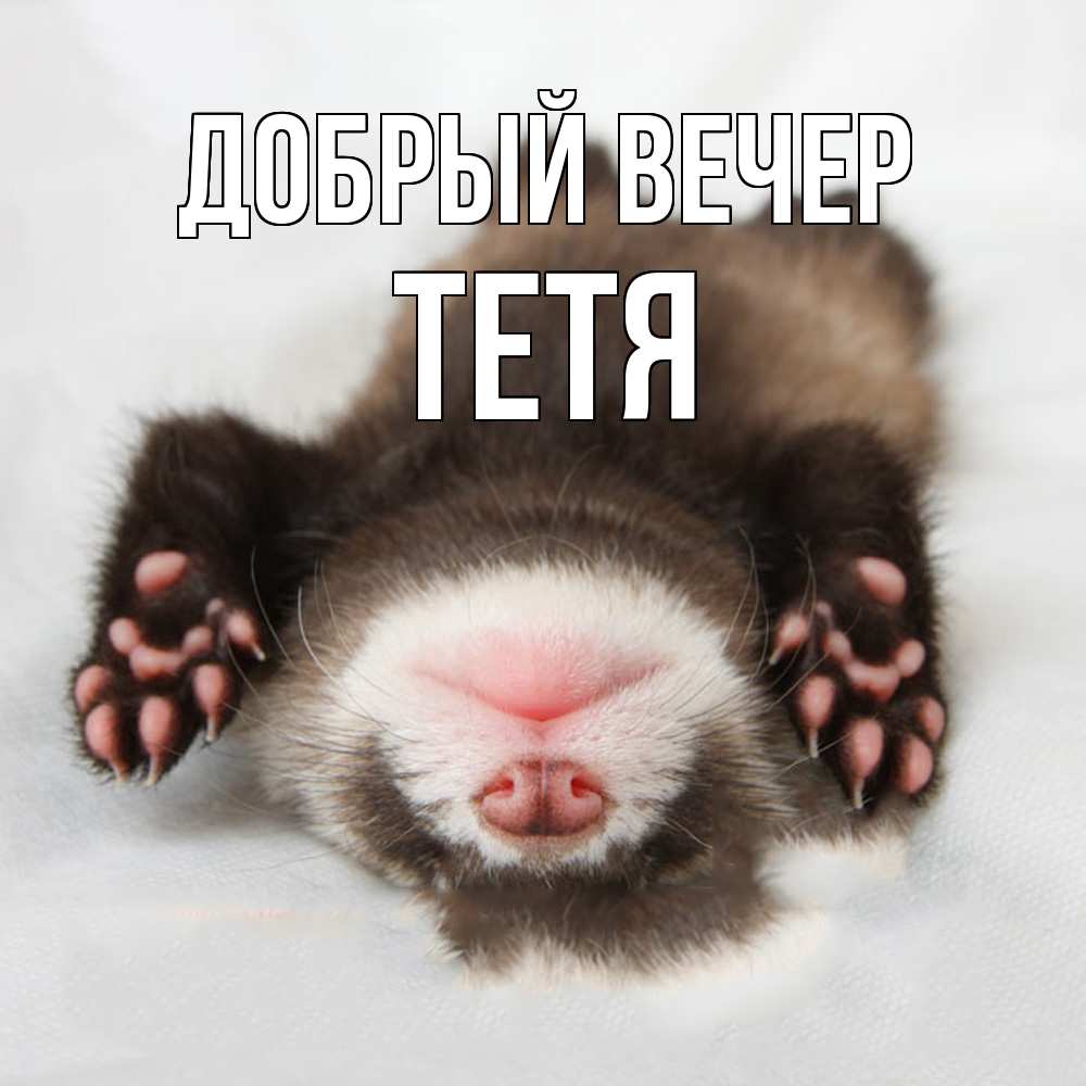 Открытка  с именем. Тетя, Добрый вечер  