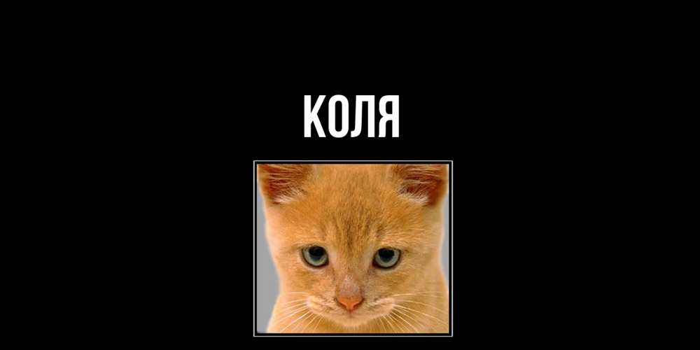 Открытка  с именем. коля, Главная  