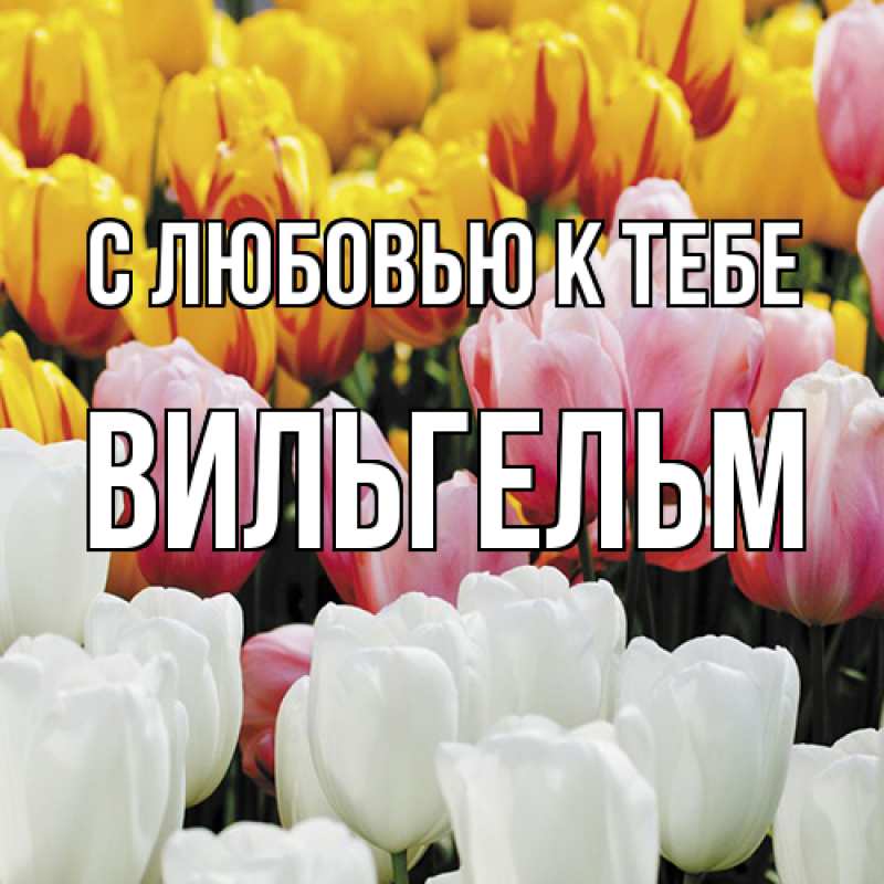 Картинка С любовью к тебе, Вильгельм