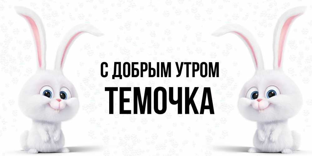 Открытка  с именем. Темочка, С добрым утром  