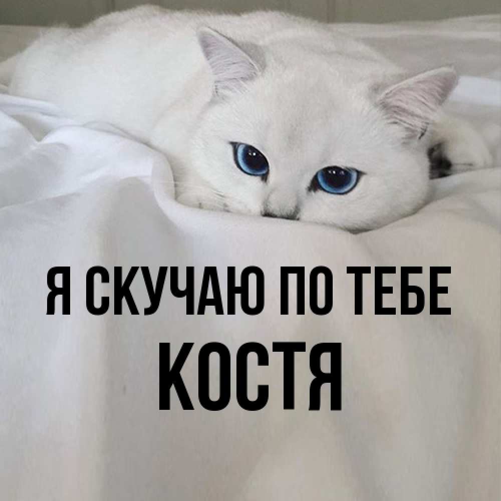 Открытка  с именем. костя, Я скучаю по тебе  