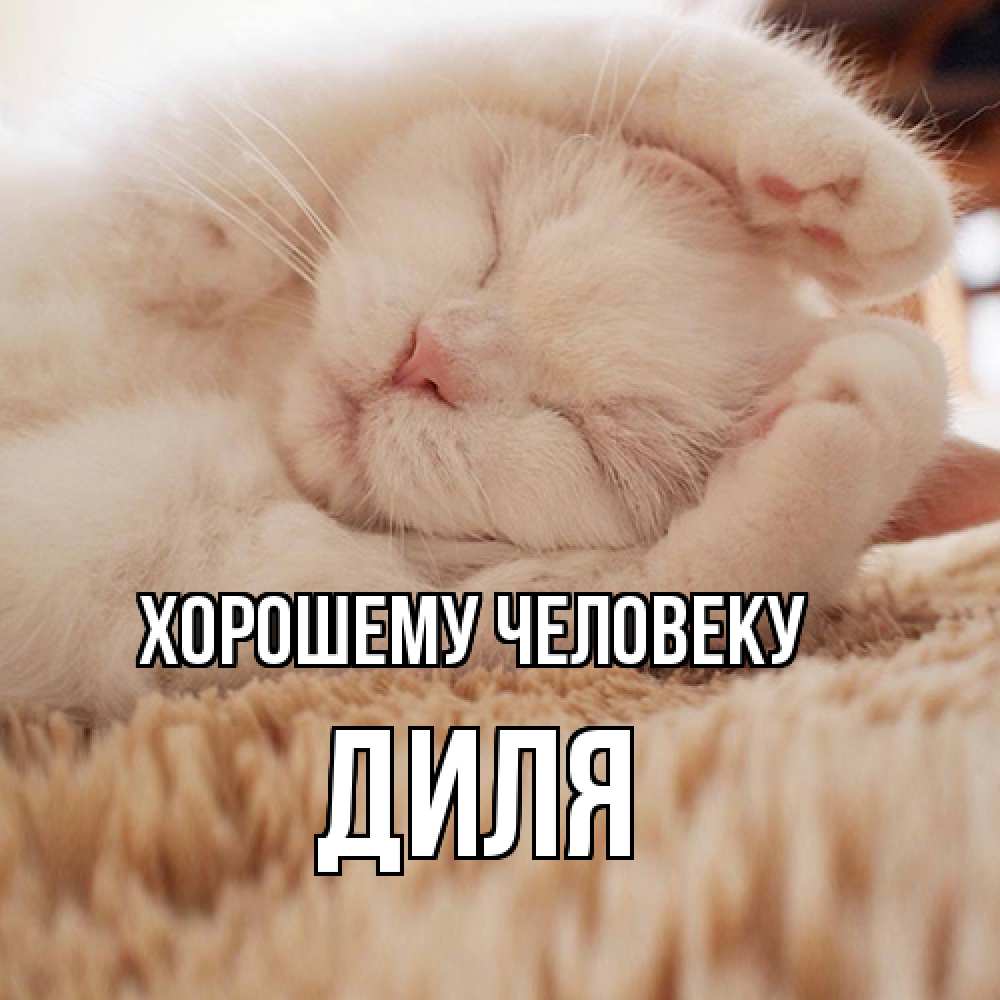 Открытка  с именем. Диля, Хорошему человеку  