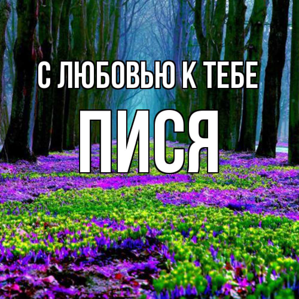 Открытка  с именем. Пися, С любовью к тебе  