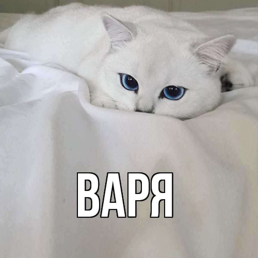 Открытка  с именем. варя, Главная  