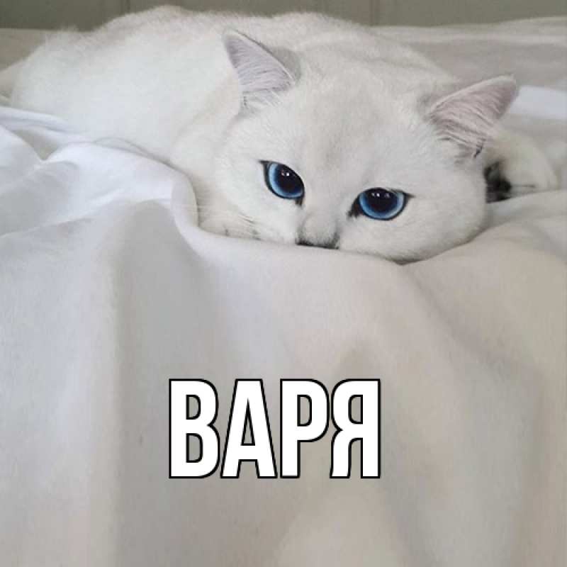 Картинка  с именем , варя