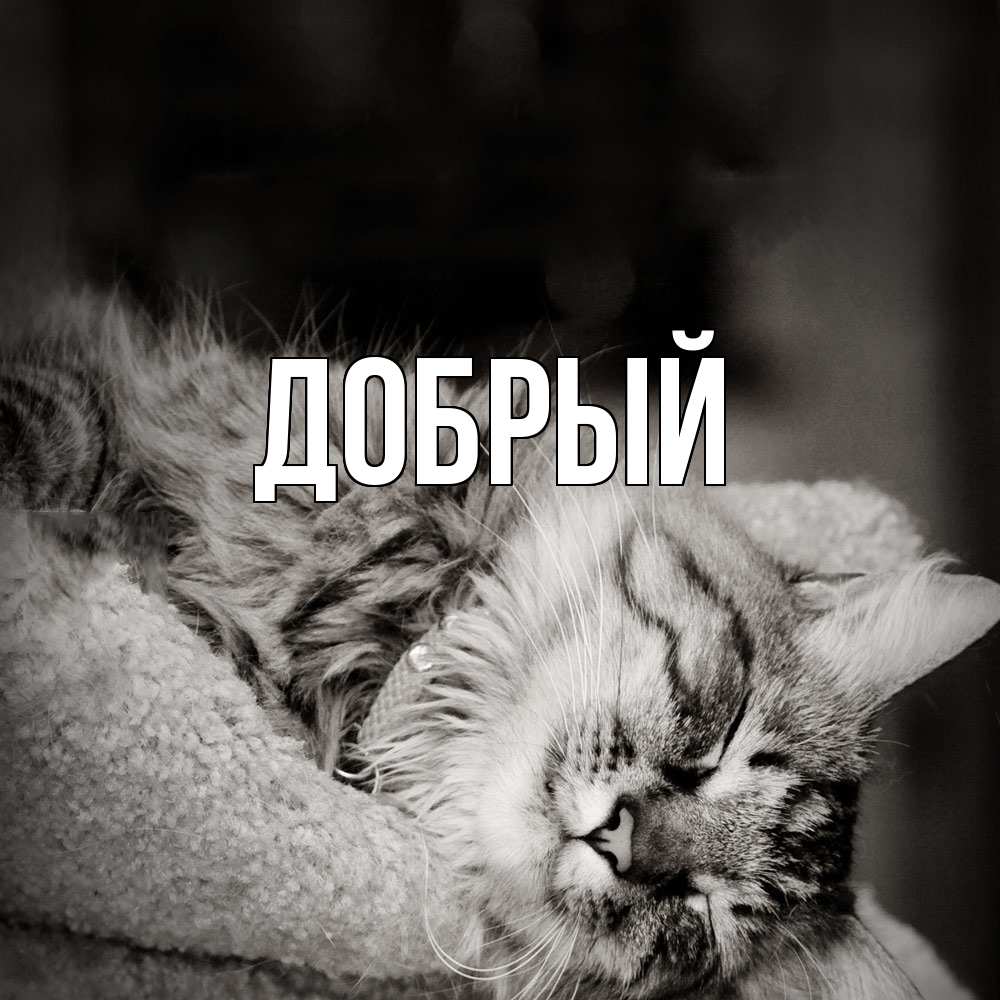 Открытка  с именем. Добрый, Главная  
