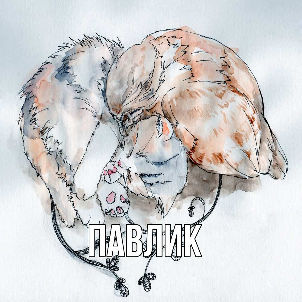 Открытка  с именем. Павлик, Главная  