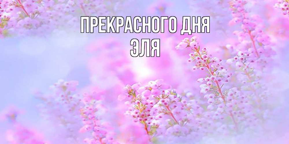 Открытка  с именем. Эля, Прекрасного дня  