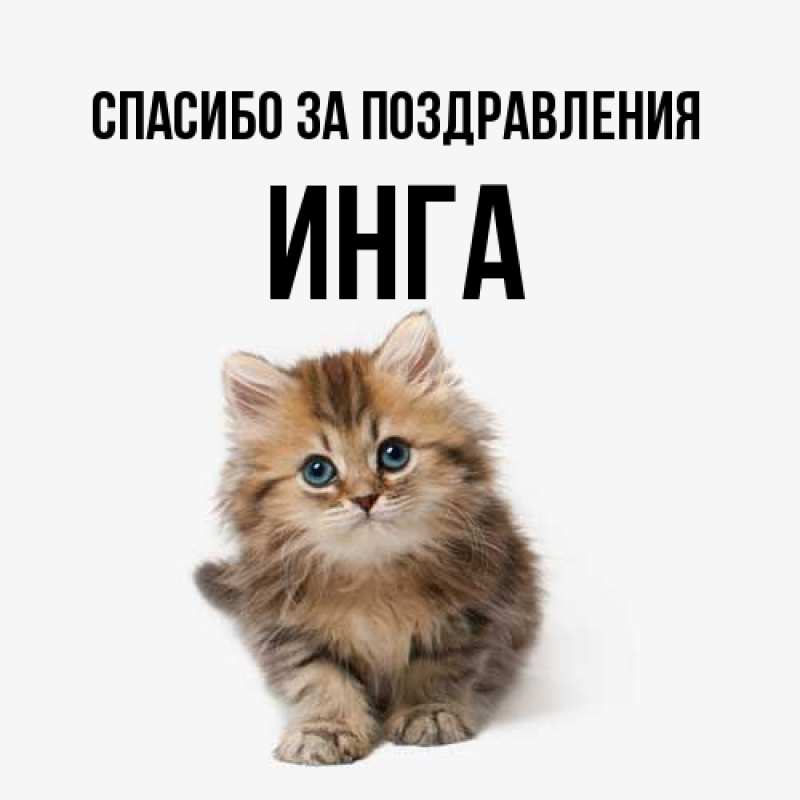 Картинка Спасибо за поздравления, Инга