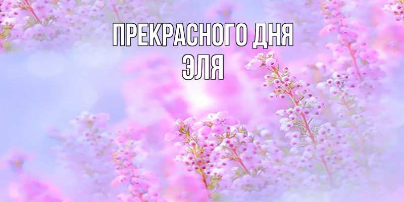 Картинка Прекрасного дня, Эля