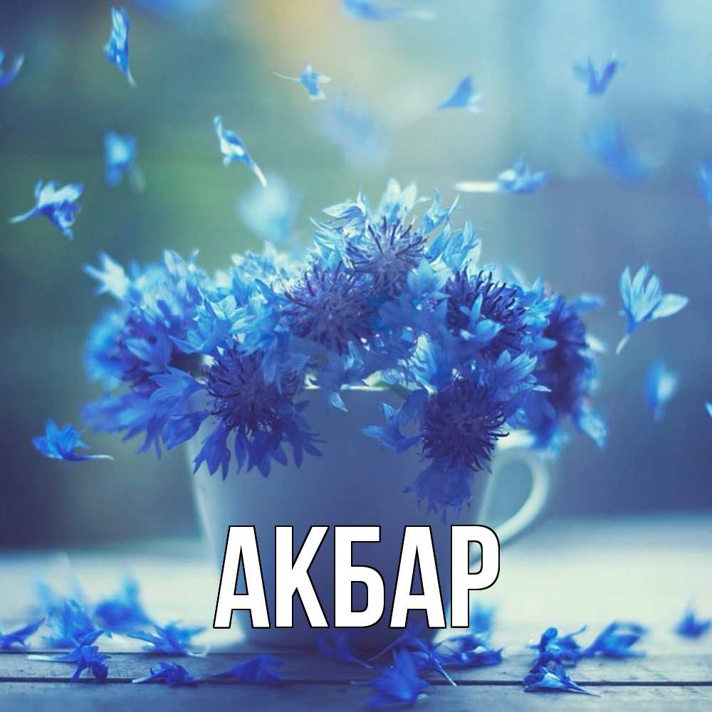 Открытка  с именем. Акбар, Главная  