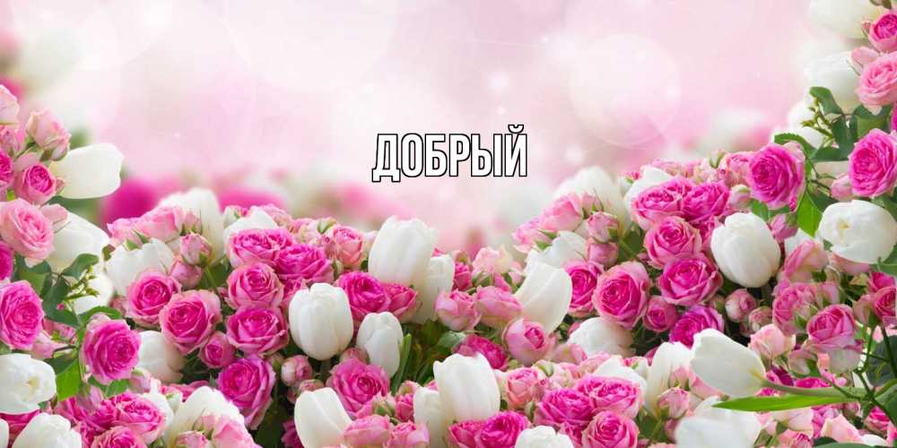 Открытка  с именем. Добрый, Главная  