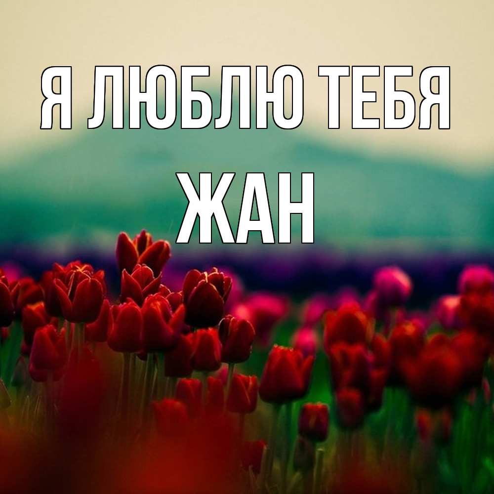 Открытка  с именем. Жан, Я люблю тебя  