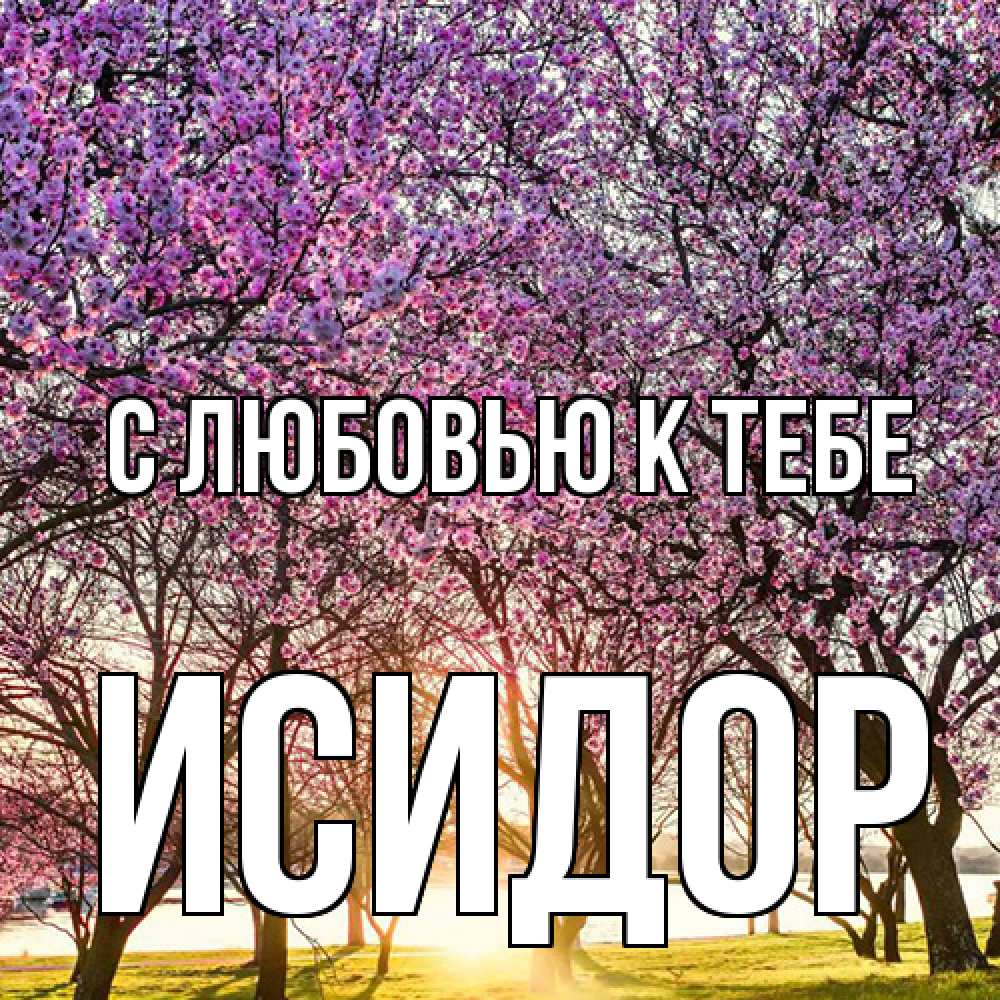Открытка  с именем. Исидор, С любовью к тебе  