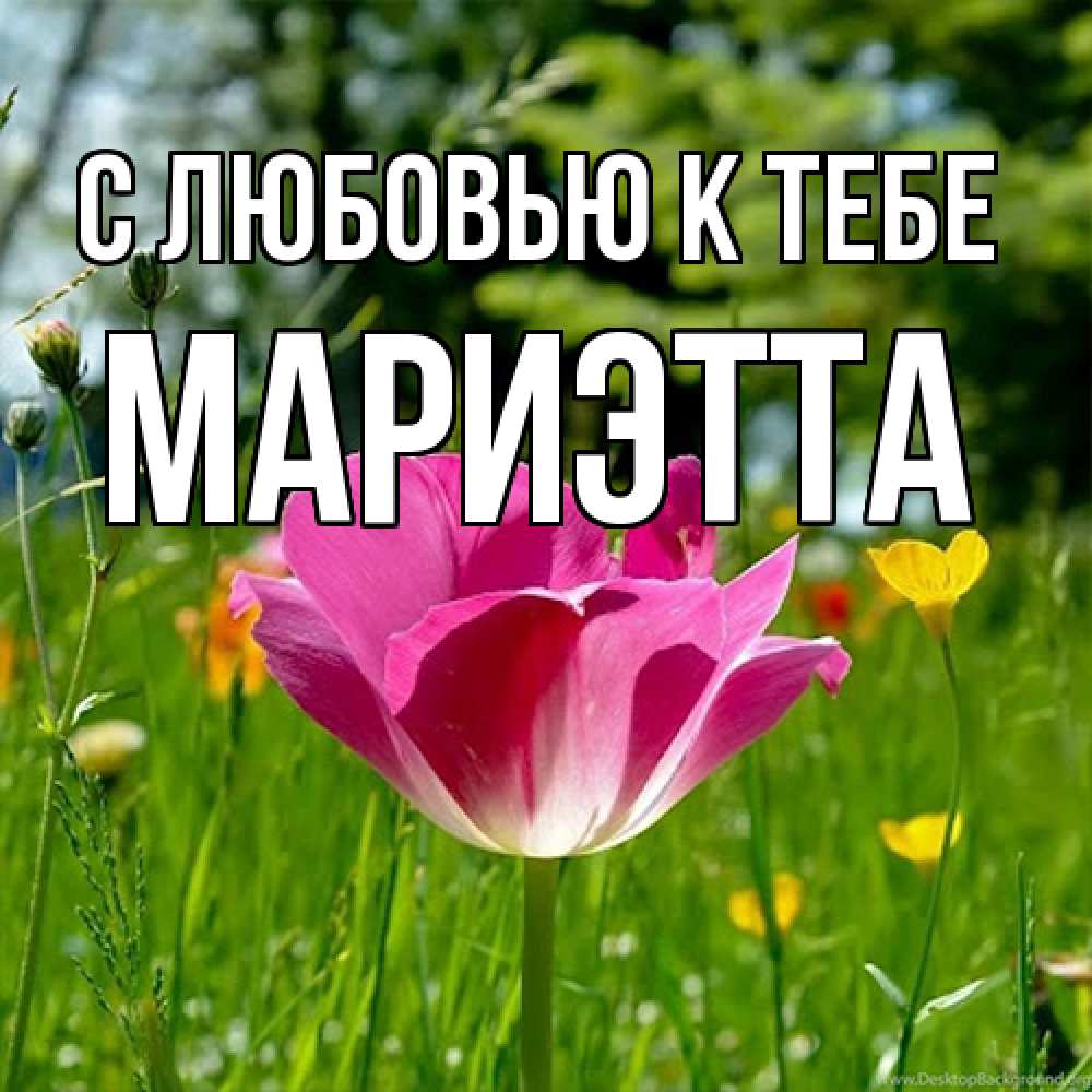 Открытка  с именем. Мариэтта, С любовью к тебе  