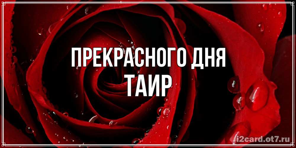 Открытка  с именем. Таир, Прекрасного дня  