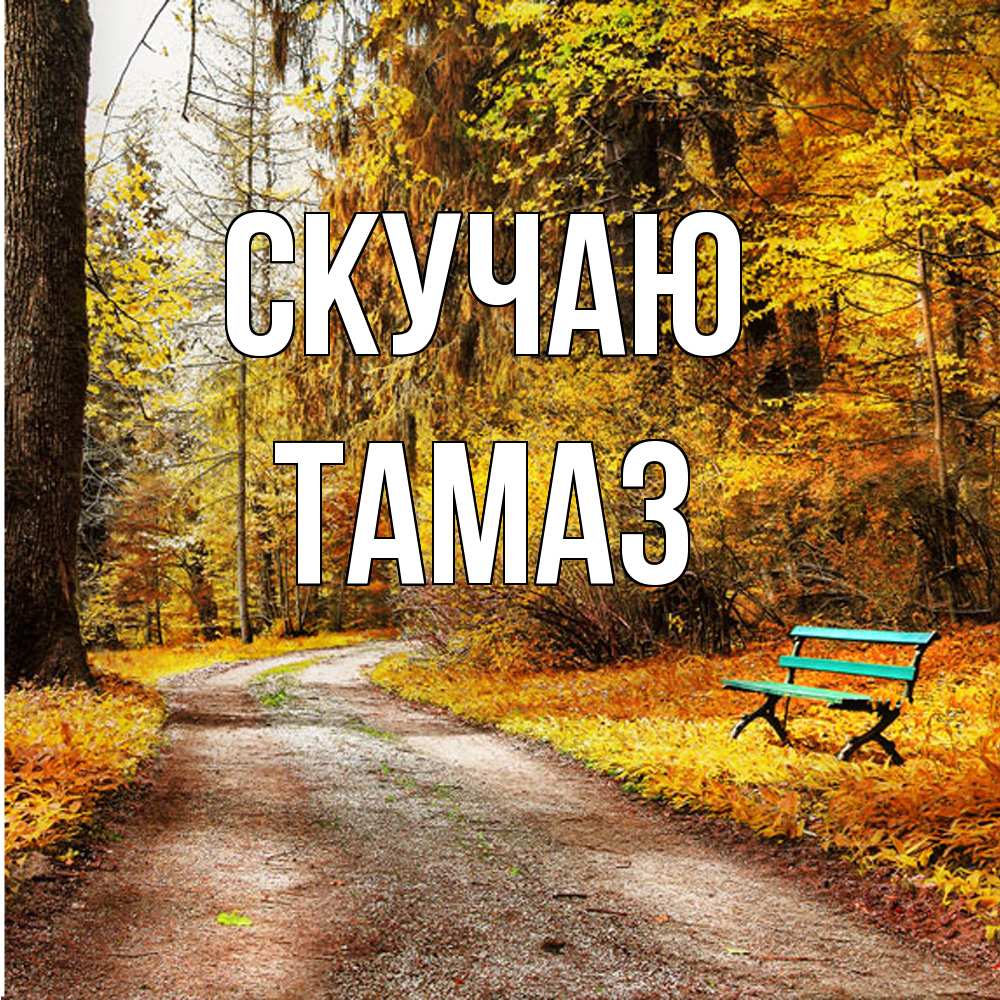 Открытка  с именем. Тамаз, Скучаю  