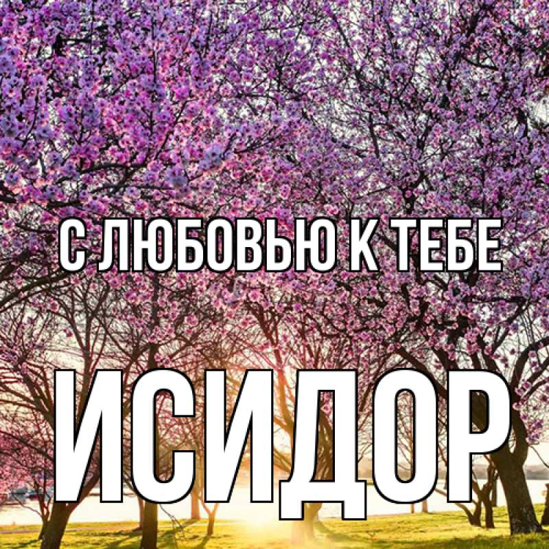 Картинка С любовью к тебе, Исидор