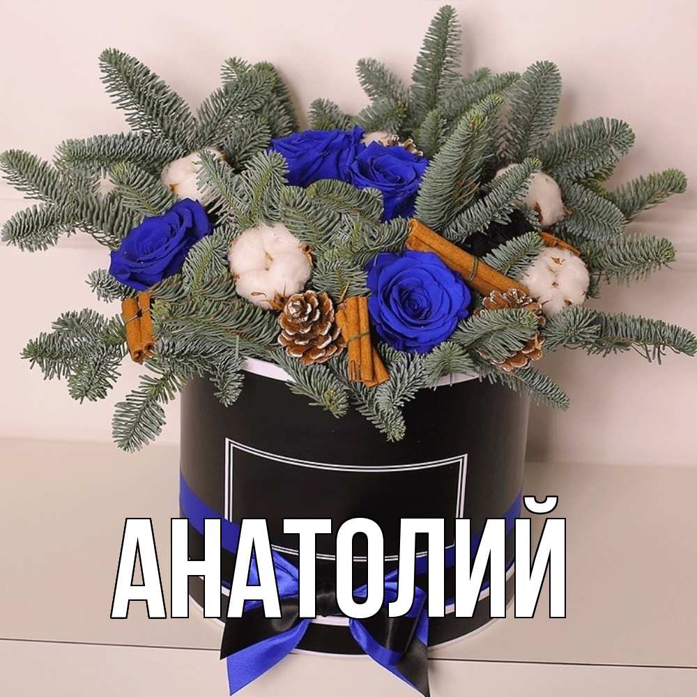 Открытка  с именем. Анатолий, Главная  