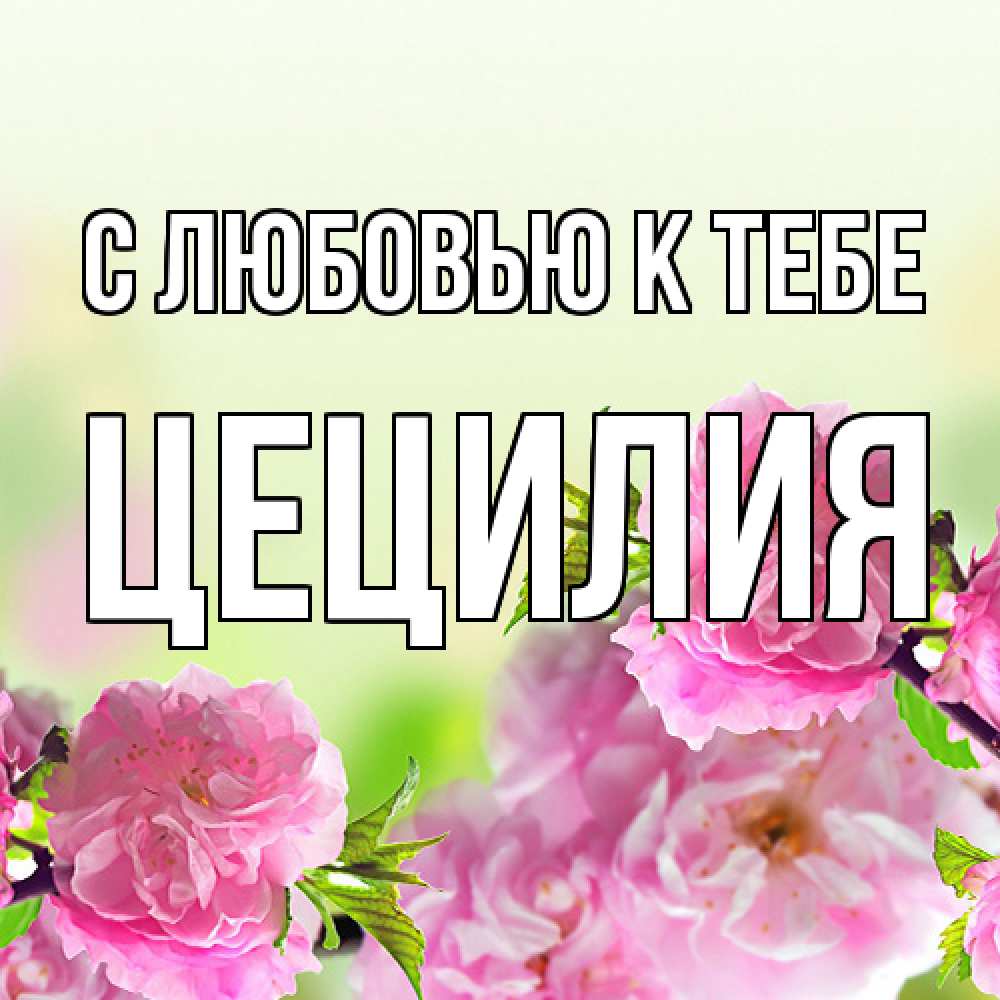 Открытка  с именем. Цецилия, С любовью к тебе  