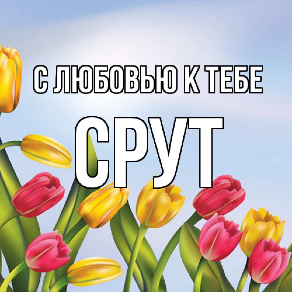 Открытка  с именем. срут, С любовью к тебе  