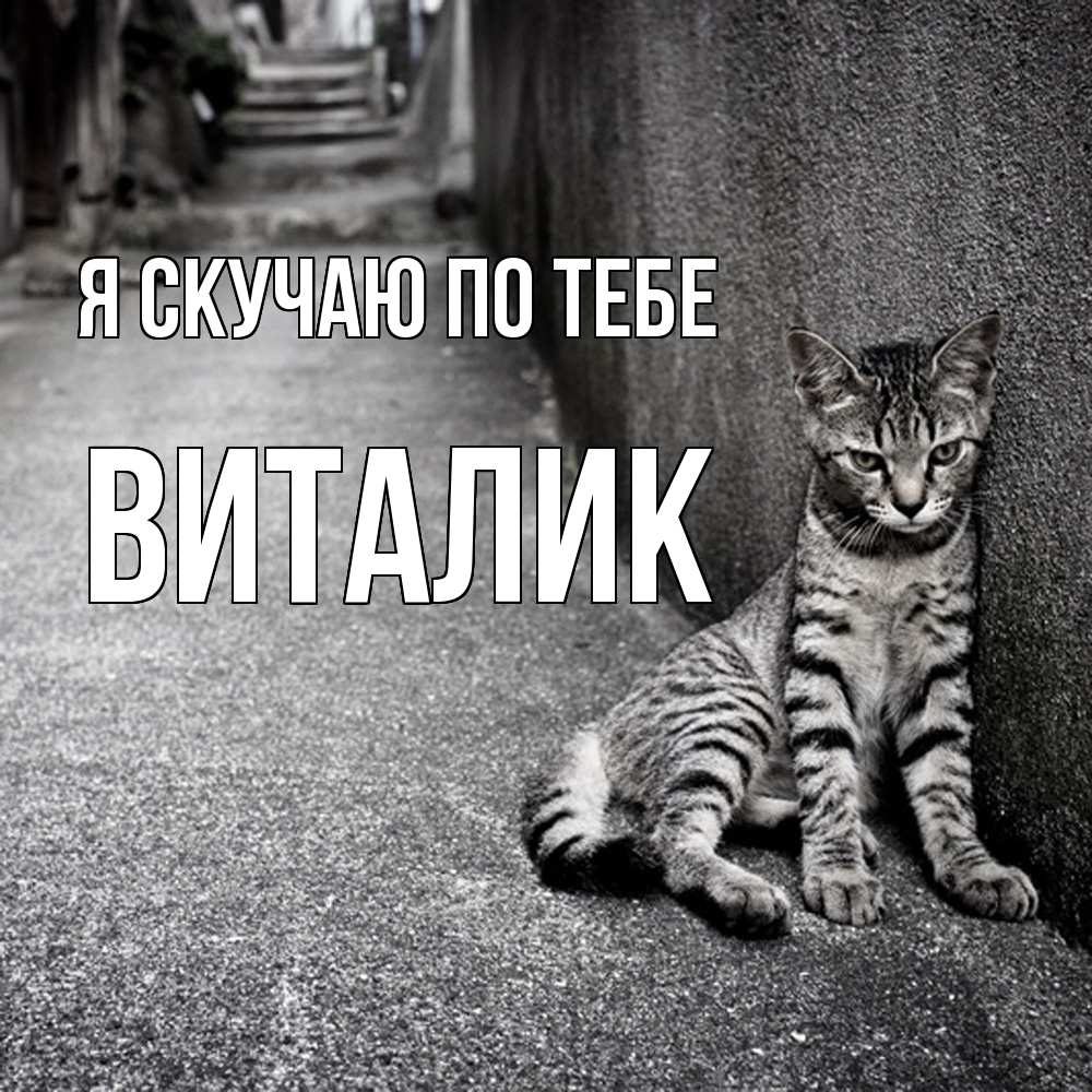 Открытка  с именем. Виталик, Я скучаю по тебе  