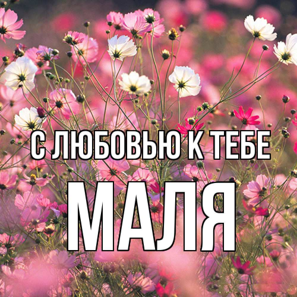 Открытка  с именем. Маля, С любовью к тебе  