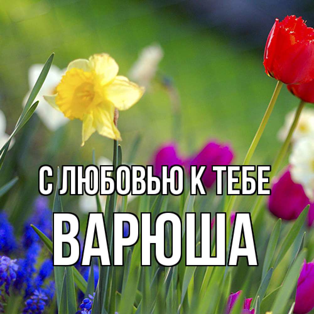 Открытка  с именем. Варюша, С любовью к тебе  