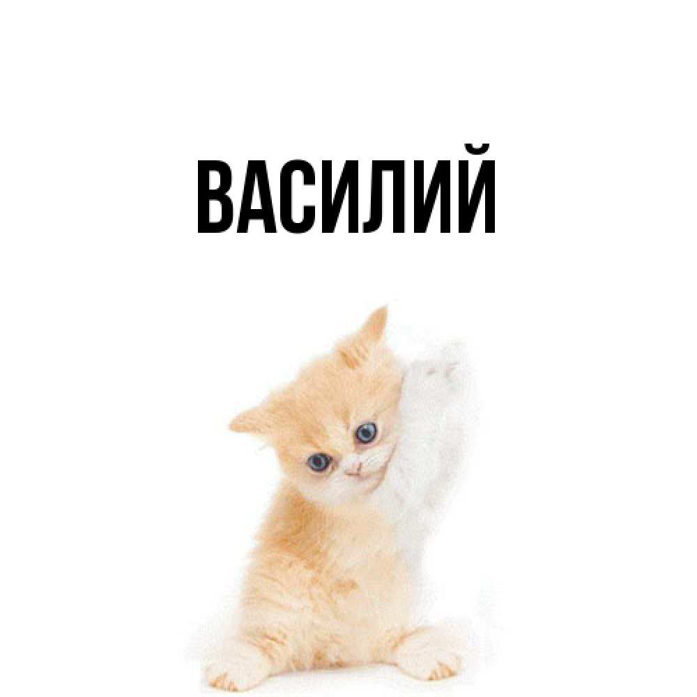 Открытка  с именем. Василий, Главная  