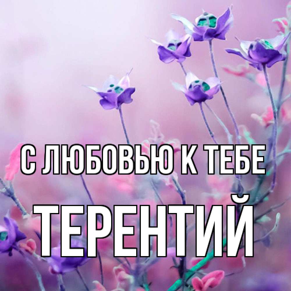 Открытка  с именем. Терентий, С любовью к тебе  